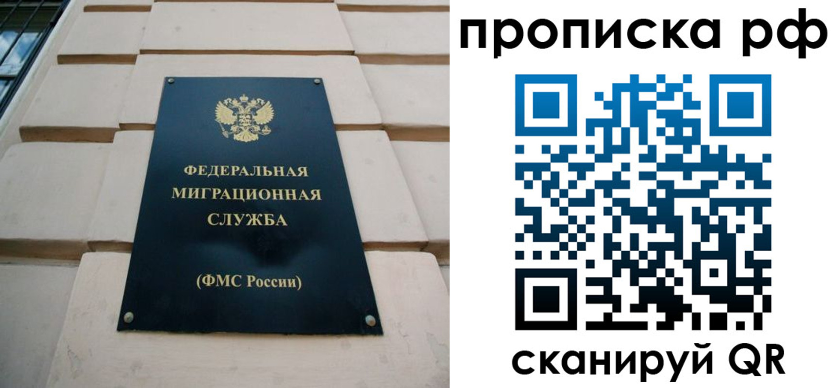 прописка регистрация в Электрогорске